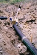 jested04_velka